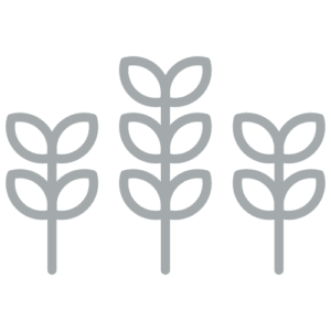 Three stylized plant icons in gray color